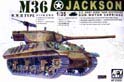 AFV35058